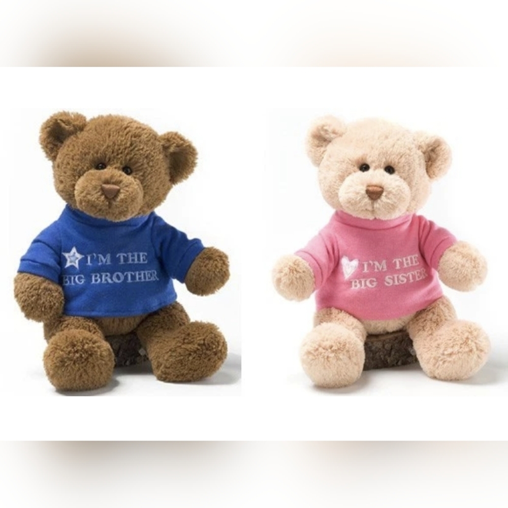 GUND Big Brother Or Big Sister Teddy Bear Plush Stuffed Animals with Shirts